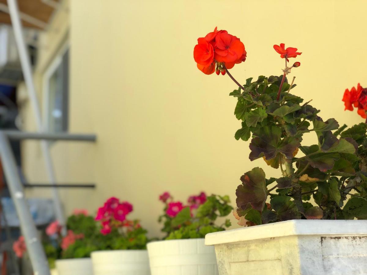 Guest House Paskal Balchik Luaran gambar
